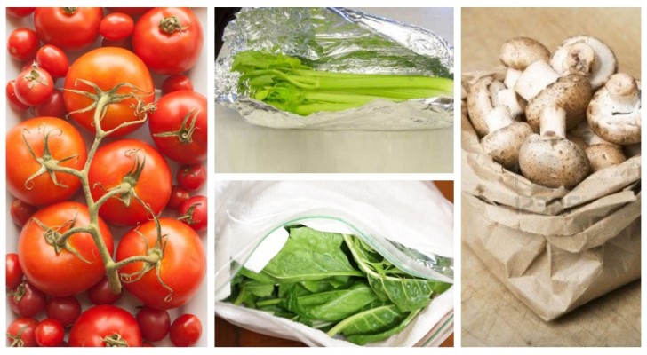 Fai durare più a lungo frutta e verdura conservandole nel modo migliore in frigo
