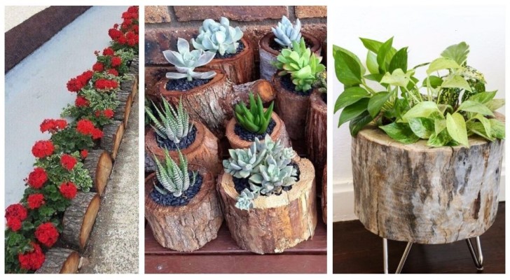 Transformez les troncs en bois en de fantastiques pots et jardinières pour la maison et le jardin