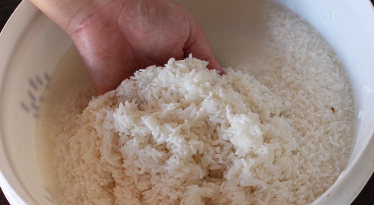 Usa l'acqua di riso per prenderti cura dei tuoi capelli e della pelle in modo naturale