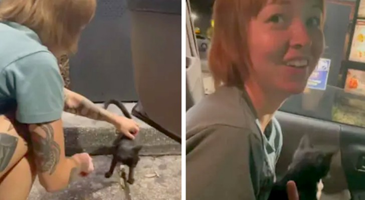 Sie gehen in einem Fast-Food-Restaurant essen und kommen mit einem Kätzchen nach Hause, das sie auf dem Bürgersteig gefunden haben