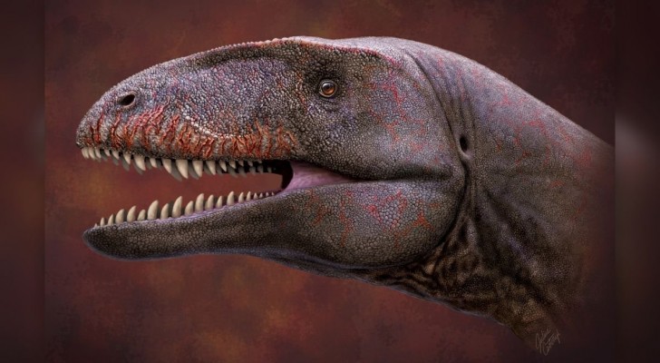 Scoperti in Uzbekistan i resti fossili dell'imponente dinosauro con "denti da squalo"