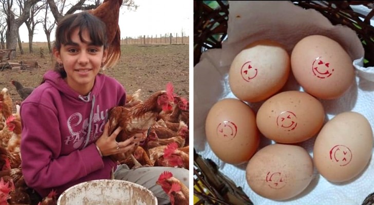 Esta jovem começou a criar galinhas com apenas 14 anos: hoje ela tem 800 e vende seus ovos