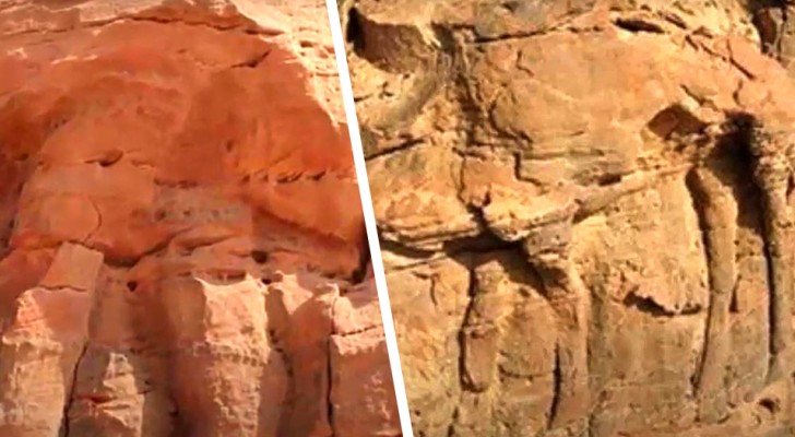I ricercatori scoprono che questi enormi cammelli scolpiti nella roccia sono più antichi di Stonehenge