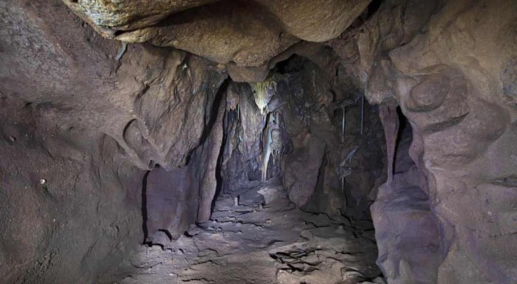 Gibilterra, scoperta una "camera dei segreti" rimasta chiusa per 40.000 anni