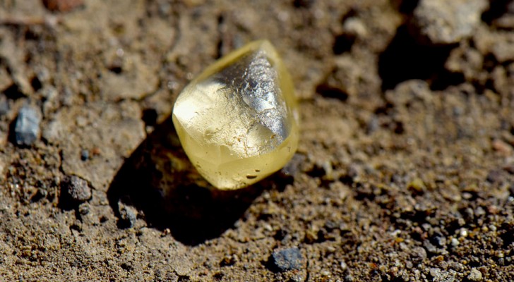 Sie findet einen Stein von der Größe einer Bohne in einem Park: Es war ein 4,38-Karat-Diamant
