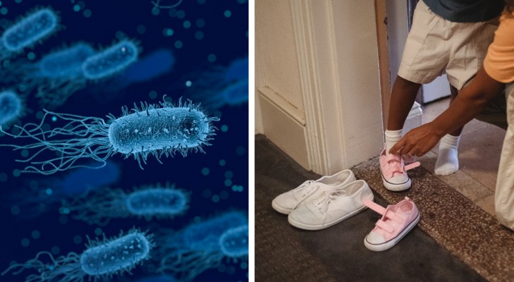 Varför vi inte bör ha skor på oss inomhus och riskerna med alla bakterier som samlas under skosulan