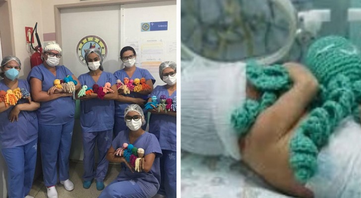 Queste infermiere creano dei simpatici polpi all'uncinetto per aiutare i bimbi prematuri e gravemente malati