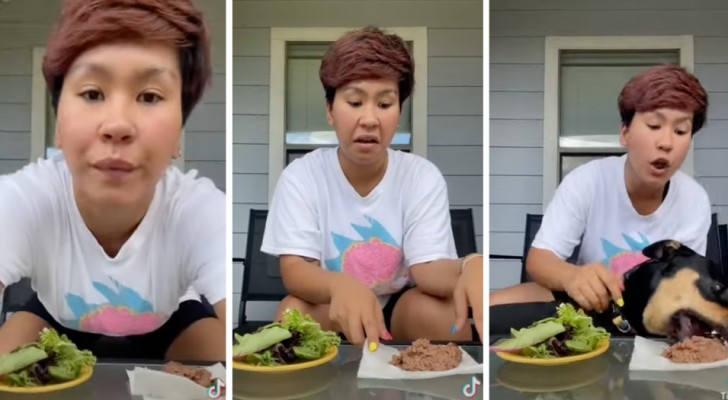 Elle veut prouver que son chien est "végétarien par choix" : la vidéo ironique qui a suscité l'indignation sur le web