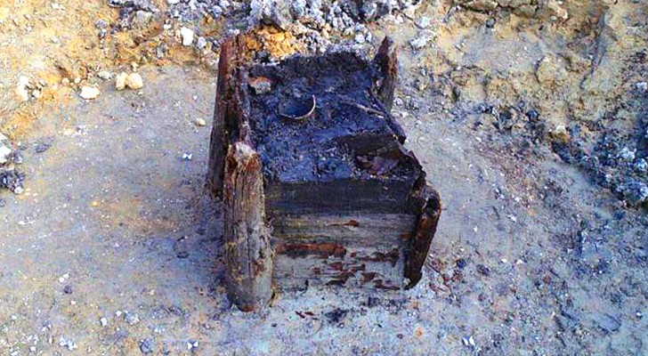 Découverte du plus ancien objet en bois fabriqué par l'homme : un coffre vieux de près de 7 300 ans
