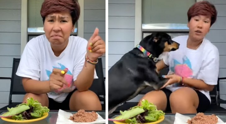 Vuole dimostrare al mondo che il suo cane è vegetariano "per scelta", ma fallisce miseramente (+VIDEO)