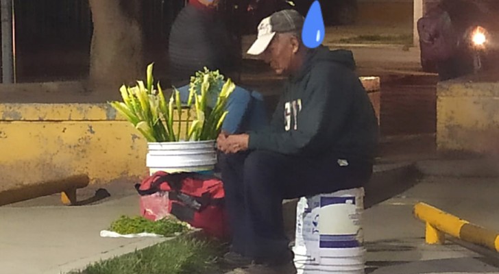 Ein trauriger und trostloser älterer Mann kann nicht einmal eine Blume verkaufen: Ein Mann sieht ihn und bittet in den sozialen Medien um Hilfe