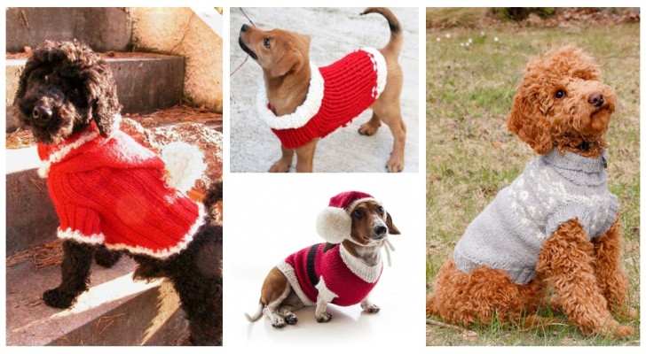 Maak voor je hond een warme en schattige handgemaakte trui, perfect voor de kerst
