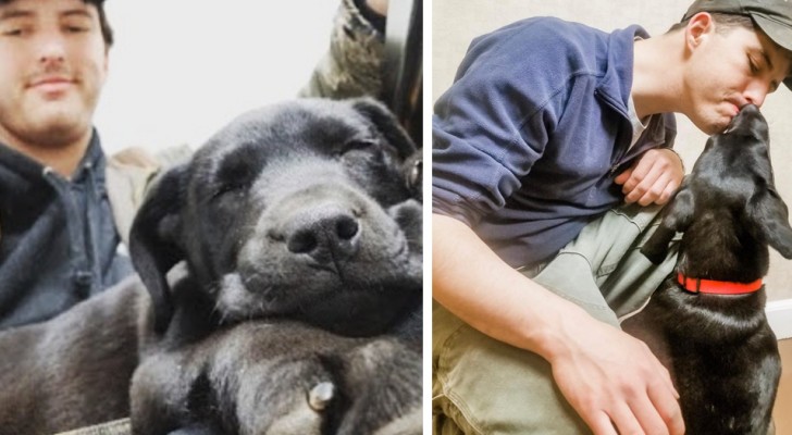 Ragazzo sordo adotta un cucciolo di Labrador e scopre che è sordo anche lui: "Siamo fatti l'uno per l'altra"