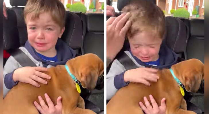 Questo bimbo ha abbracciato il suo primo cagnolino e non è riuscito a trattenere le lacrime per l'emozione (+VIDEO)