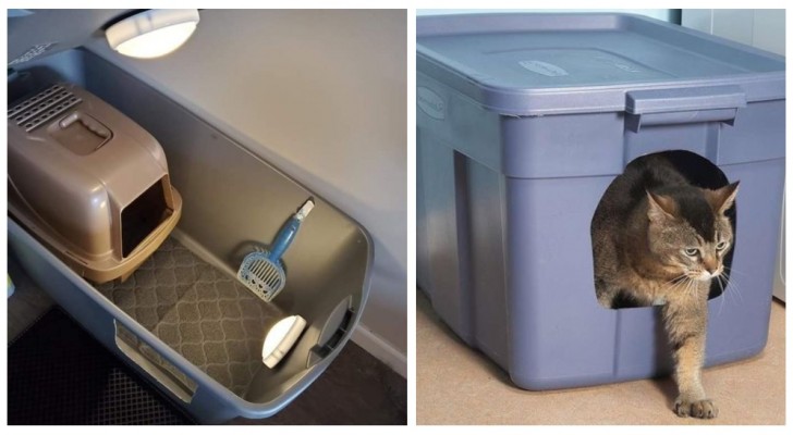 Il y a de la litière de chat partout ? Testez cette solution brillante
