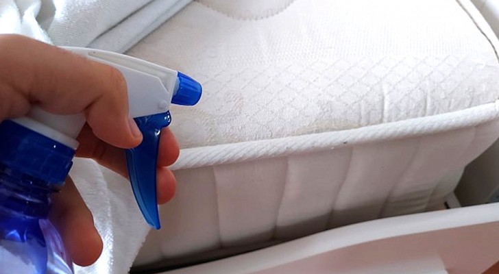 Desinfecteer en reinig je matras zonder al te veel geld uit te geven: ontdek hoe je een doe-het-zelfspray maakt
