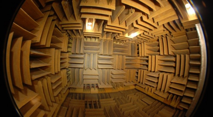 De stilste kamer ter wereld: na een paar minuten begin je te hallucineren