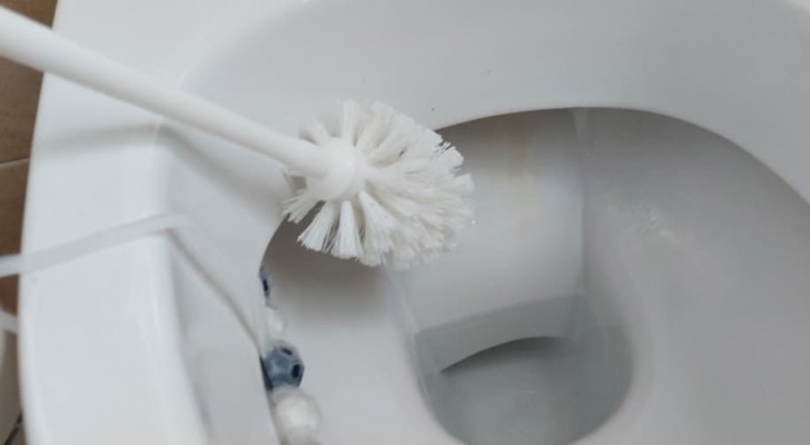 Scopri come tenere lo scopino del WC sempre pulito e igienizzato con questi semplici trucchi