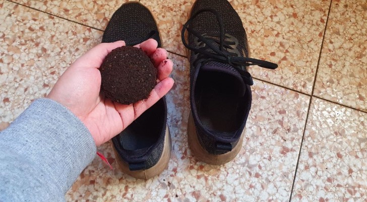 Ingen mer dålig lukt från skorna: använd kaffesump och andra gör-det-själv lösningar