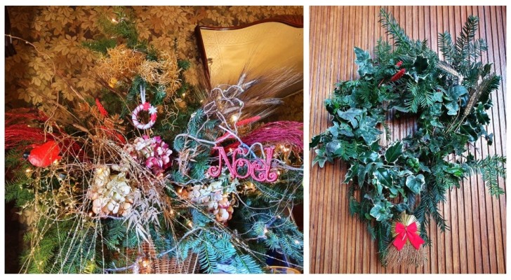 Composizioni di rami veri a Natale: scopri quali sono le piante più adatte per decorare durante le feste
