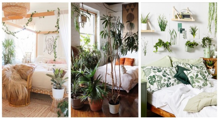 Verwandeln Sie Ihr Schlafzimmer in eine grüne Oase: 11 Inspirationen für die Integration von Pflanzen in Ihre Einrichtung