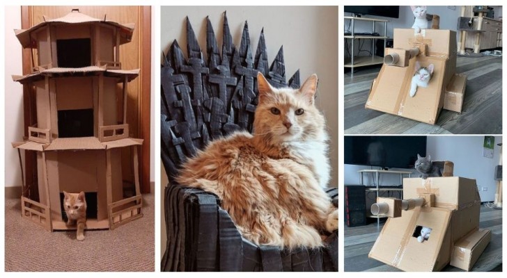 Schenken Sie Ihrer Katze stundenlangen Spaß, indem Sie kreative Spielzeuge aus Pappkartons basteln