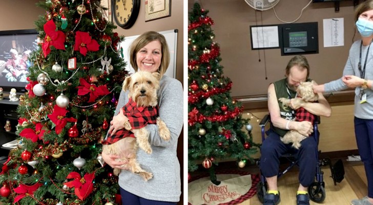 Krankenschwester adoptiert einen Hund, damit er immer an der Seite seines im Krankenhaus liegenden Herrchens sein kann