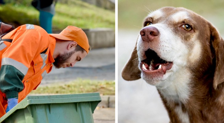 Dog attracts the attention of a garbage man and saves the life of his elderly owner