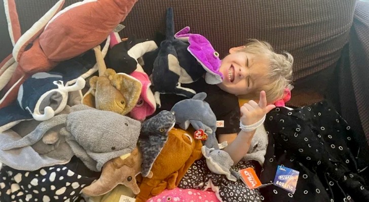 Une maman démunie ne peut pas acheter de peluches pour son fils : des internautes lui offrent de vieux jouets pour le rendre heureux
