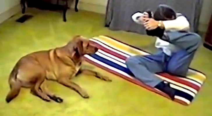 She tries a difficult yoga position. The reaction of the dog? Hilarious!