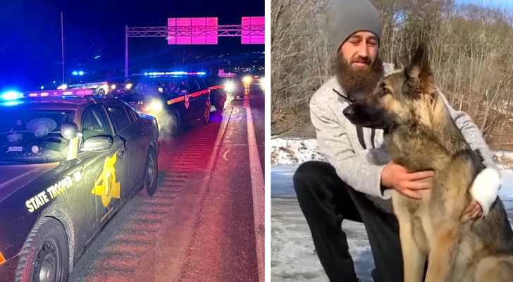 En borttappad hund på motorvägen leder polisen till en olycksplats och räddar sin husse