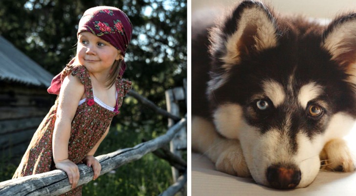 3-year-old child survives for 12 days in a snow forest thanks to her dog (+VIDEO)