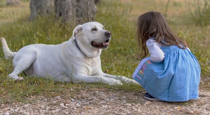 Ganan £1.000.000 y lo primero que hacen es adoptar un perro guía para su hija discapacitada