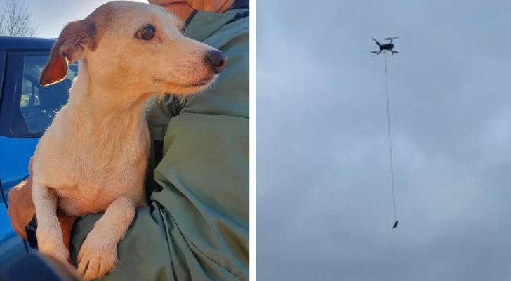 I soccorritori fanno penzolare salsicce dai droni per salvare un cane smarrito in acqua