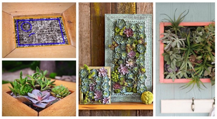 Piante incorniciate al muro: scopri come realizzare quadri con le succulente per decorare le tue pareti!
