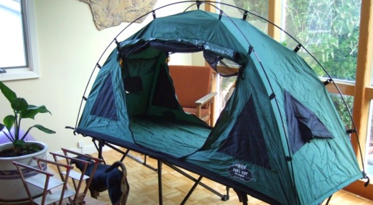 Ein Zelt auf dem Balkon zu vermieten, um einen Mitbewohner zu haben und Geld zu sparen: 500€ "all inclusive"