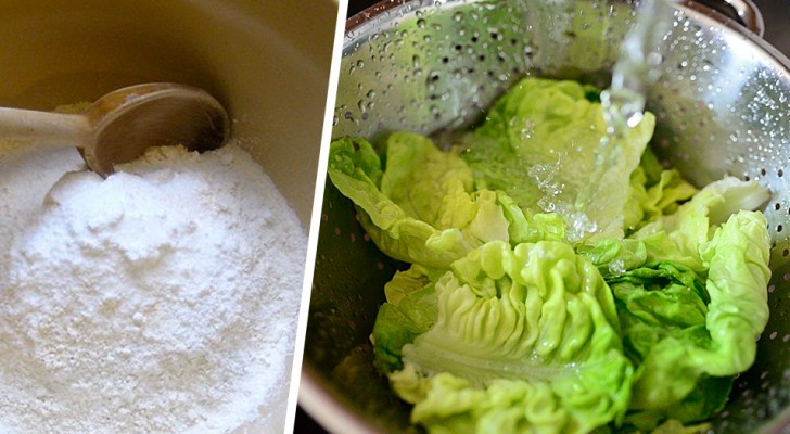 Är det verkligen bra att tvätta salladen med bikarbonat? Forskning förtydligar det