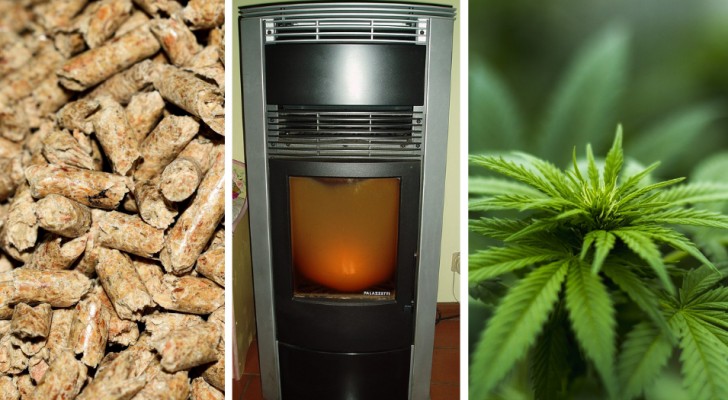Hennep pellets: het meest ecologische en economische alternatief voor hout voor thuisverwarming