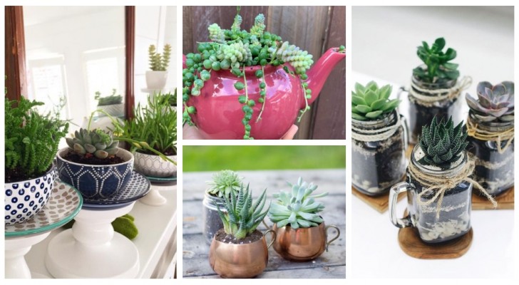Da tazze e teiere a giardini in miniatura: lasciati incantare da queste composizioni con piante succulente