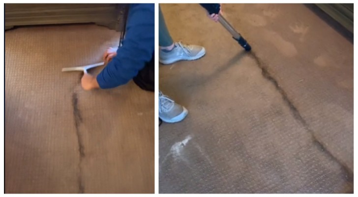 Weet je niet hoe je dierenharen uit de vloerbedekking en vloerkleden kunt verwijderen? Probeer deze methode die populair is op sociale media