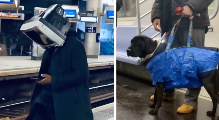Merkwaardige waarnemingen: 15 grappige situaties en mensen die elkaar hebben ontmoet in de metro