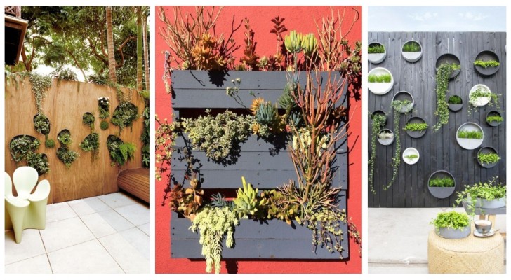 Vul je huis met verticale plantenbakken: ontdek hoe je je balkon, patio of tuin kunt inrichten!