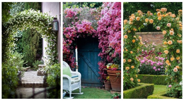 Bloemenbogen in de tuin: laat je inspireren door deze ideeën om onder een bloemrijk bladerdak te wandelen!