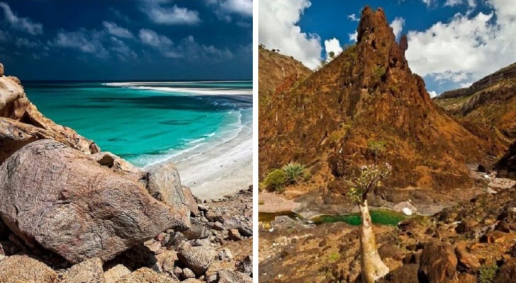 Socotra, den vackert avlägset belägna ön som är 6 miljoner år gammal och ser ut som en främmande värld