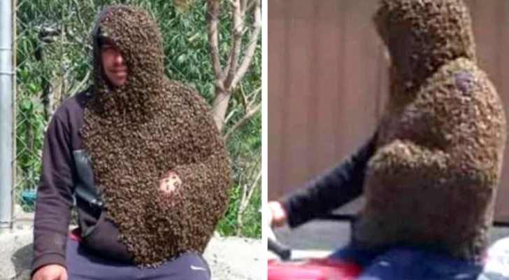 Hij is volledig bedekt met bijen en loopt rond alsof het niets is: ze noemen hem 