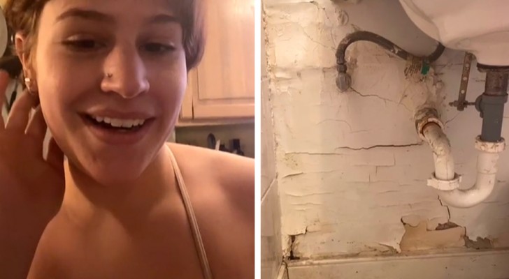 Landlord raises her rent, but does no maintenance: she takes her revenge by showing the pitiful state of the house online