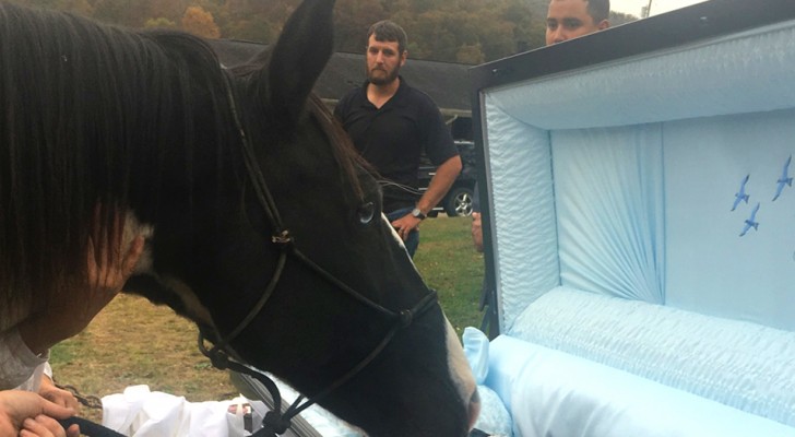 A horse says farewell to its master for the last time with a kiss during the funeral