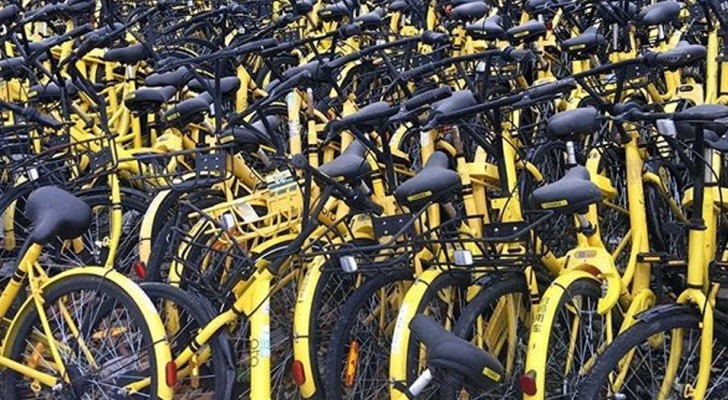 "Ruba" centinaia di biciclette e le ammassa nel cortile: erano così tante che si vedevano dal satellite
