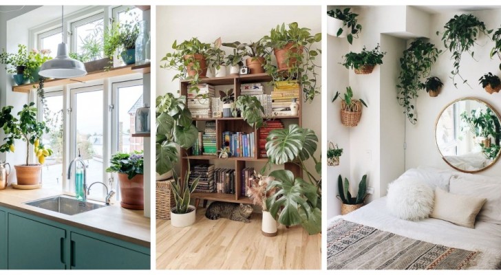 Planten in elke kamer van het huis: ontdek hoe je ze kunt gebruiken als stijlvolle inrichtingselementen!