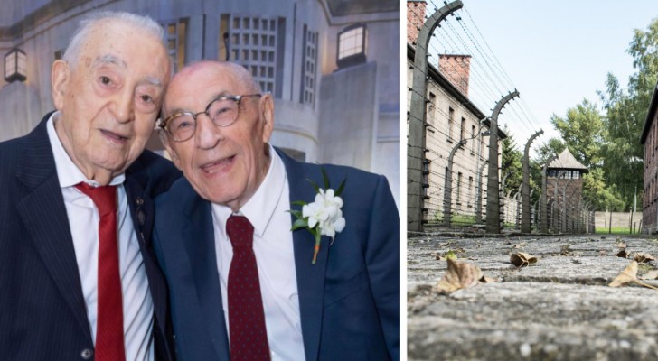 Ze deelden de ervaring van de Holocaust, maar verloren het contact: twee vrienden ontmoeten elkaar 80 jaar later